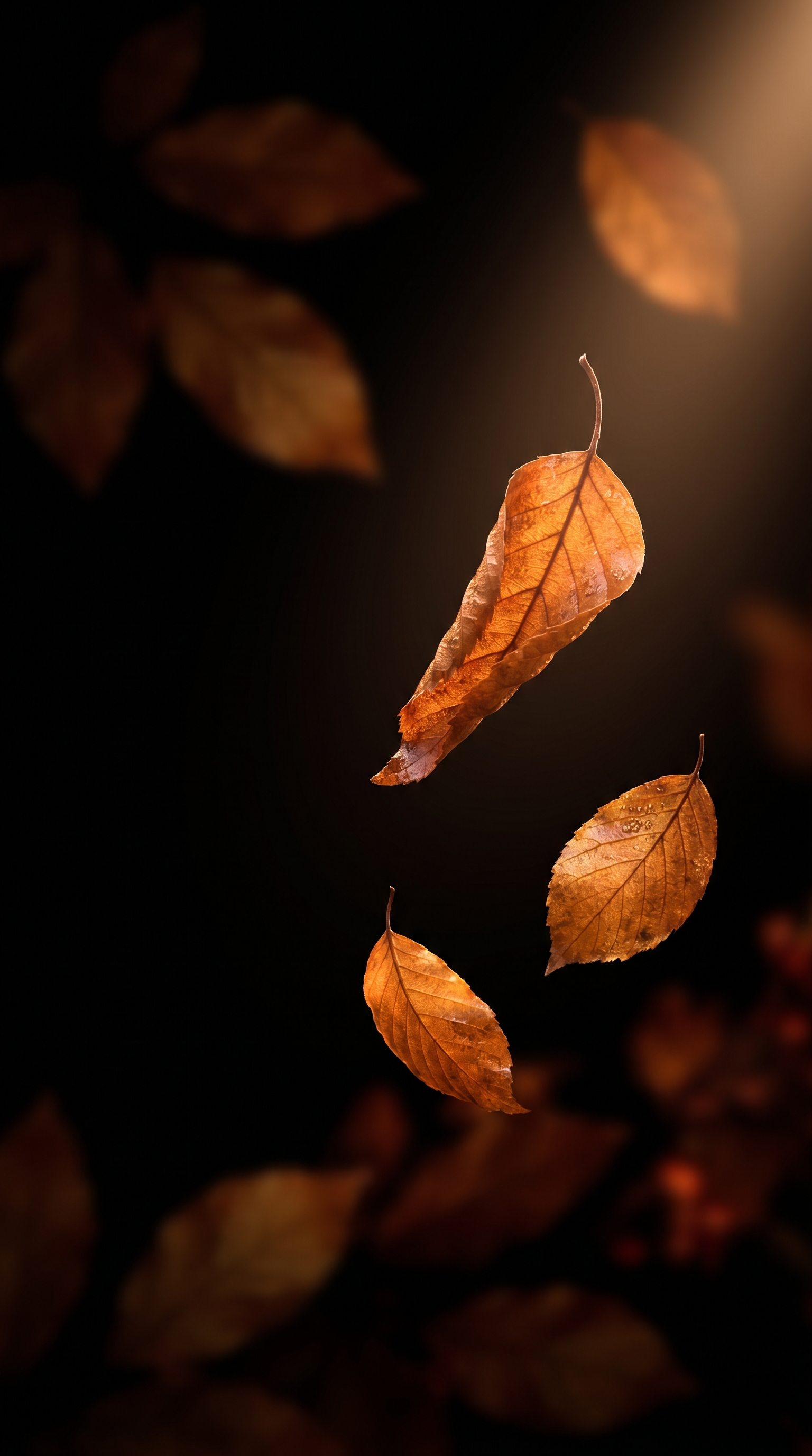Amber Autumn Leaves On Black